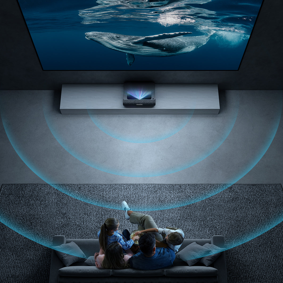 project tv 25W speakers
