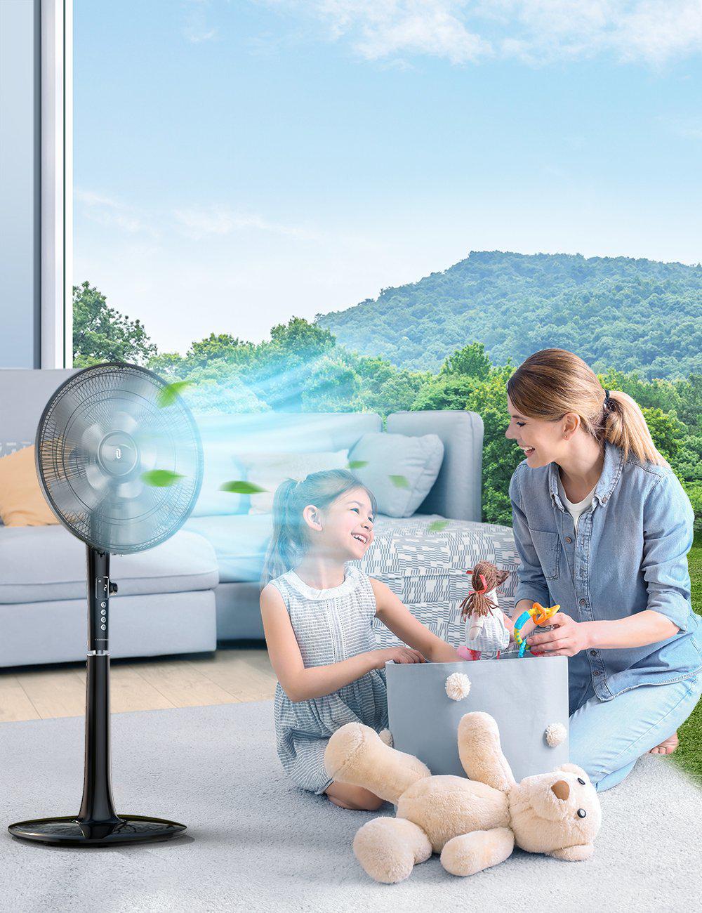 Pedestal Fan 010, with Remote, 3 Wind Modes, 12 Speed Levels WM