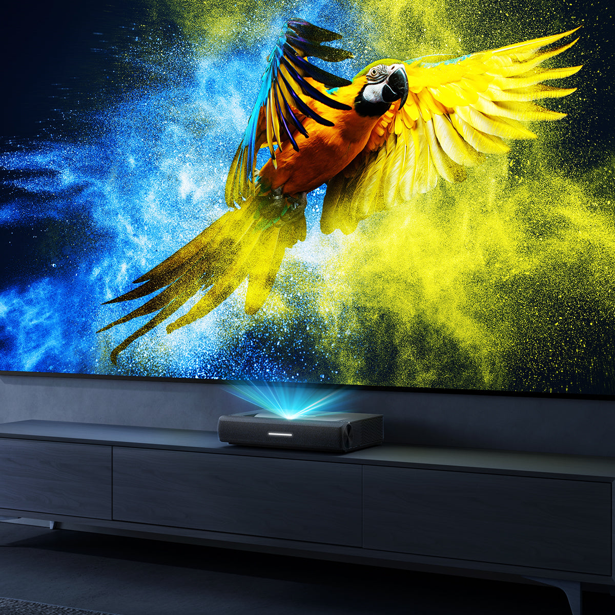 project tv Wide Color Gamut