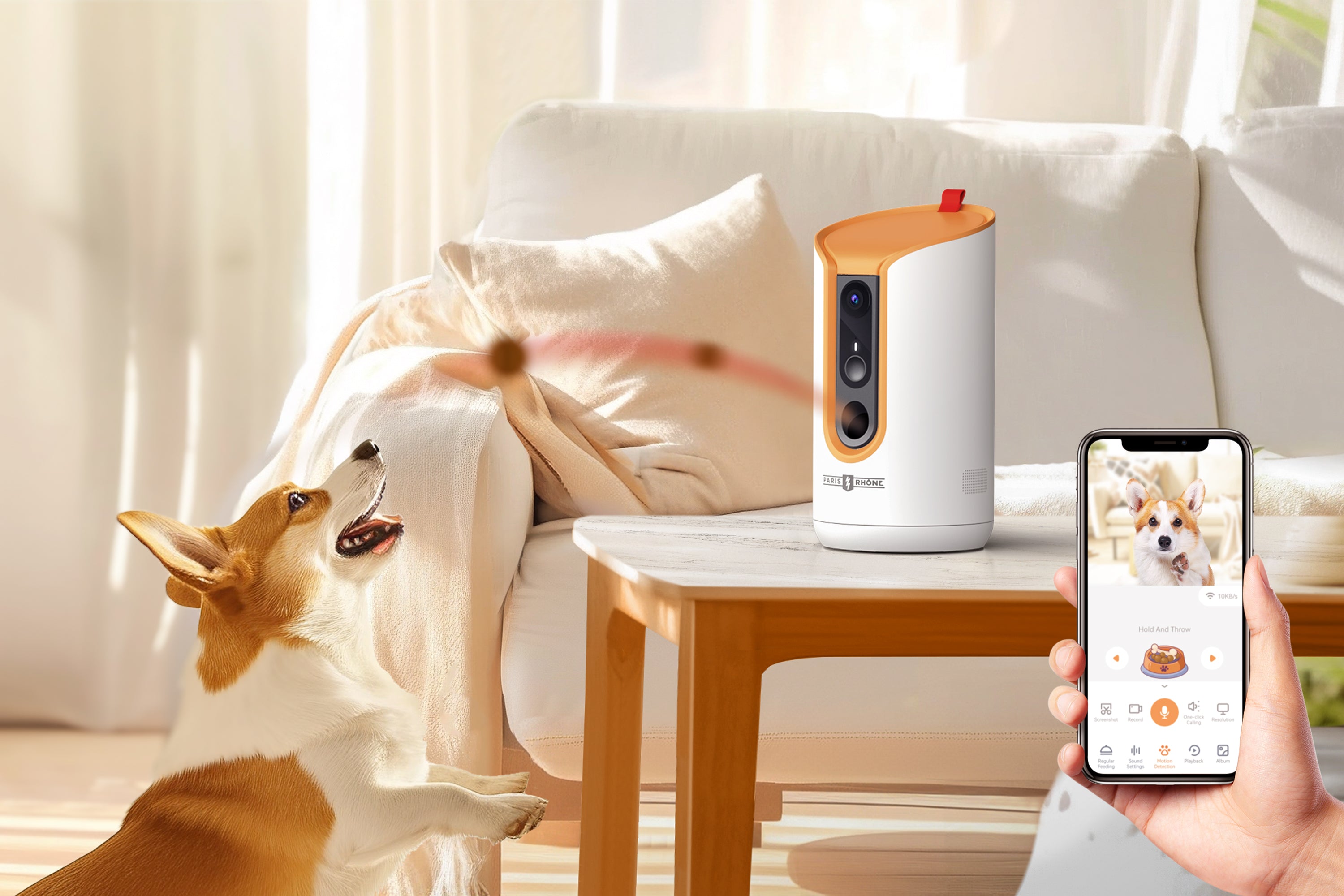 Can Technology Make Your Pet’s Life Better on International Pet Day?
