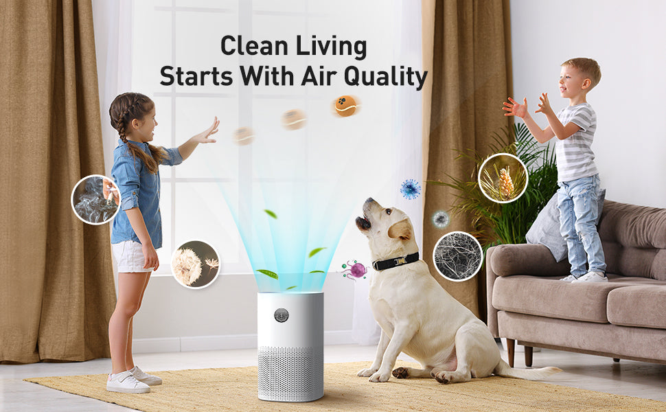 A Step-by-Step Guide: How to Clean an Air Purifier?