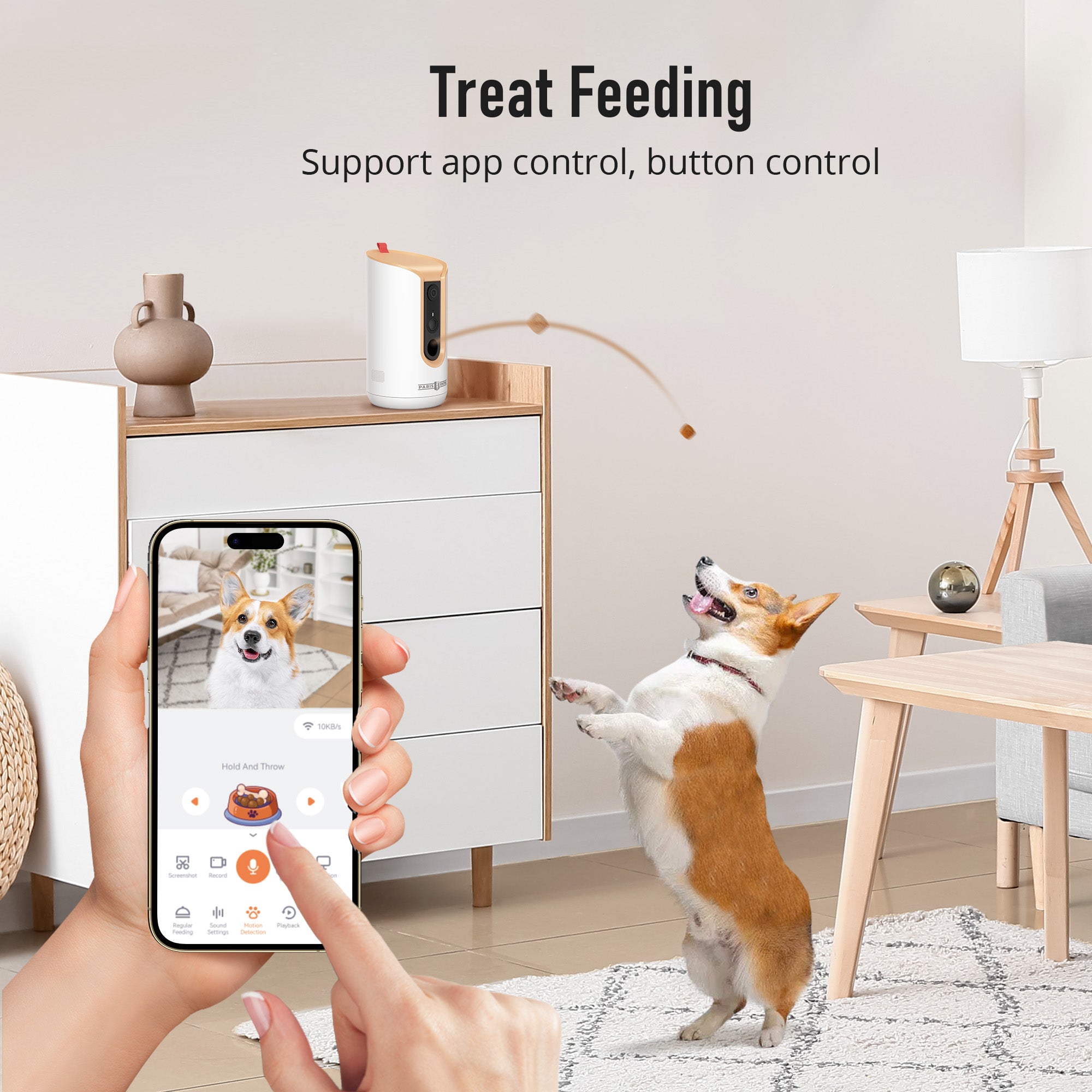 Dog camera best sale that throws treats