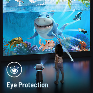 wife projector eye protection