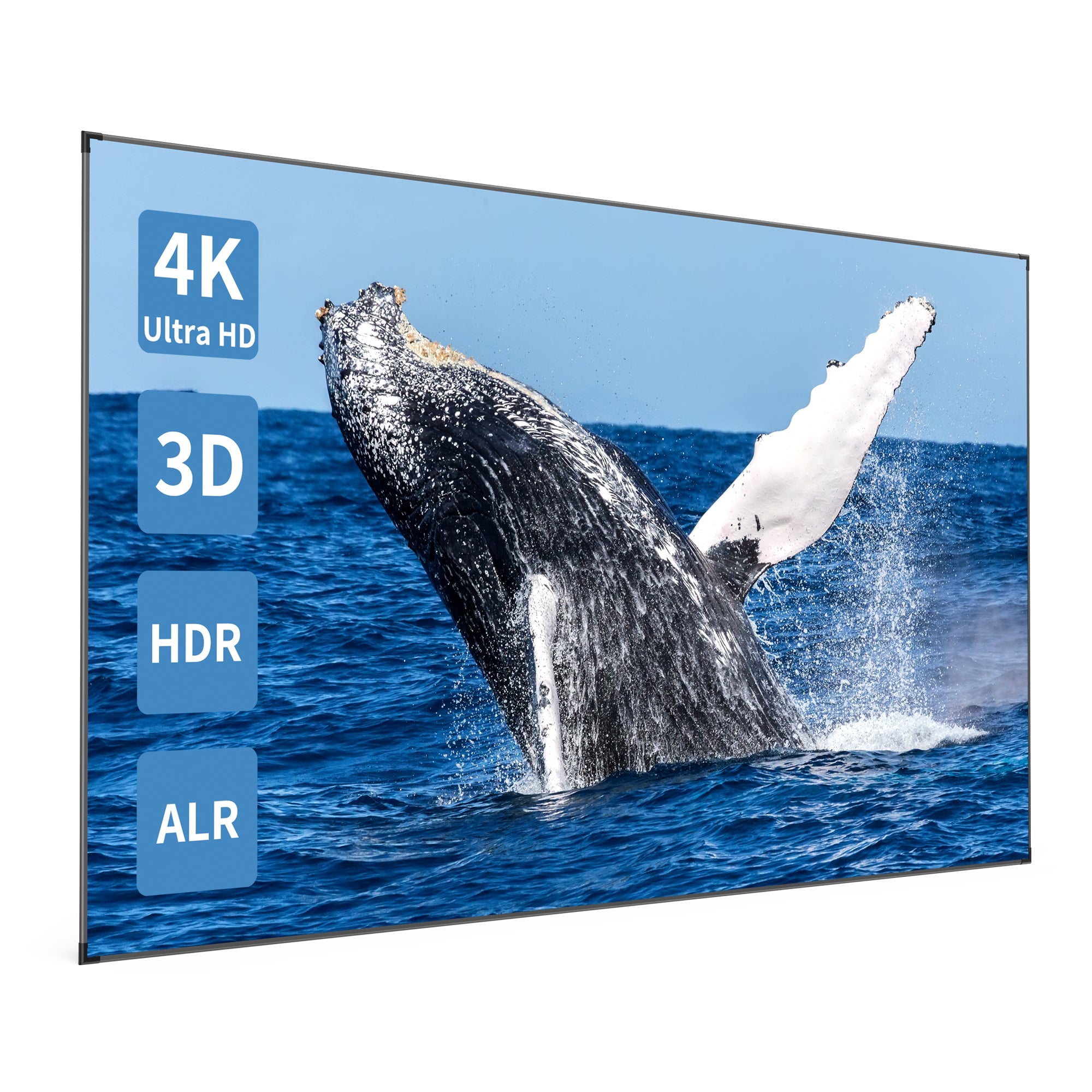 150 inch projection screen