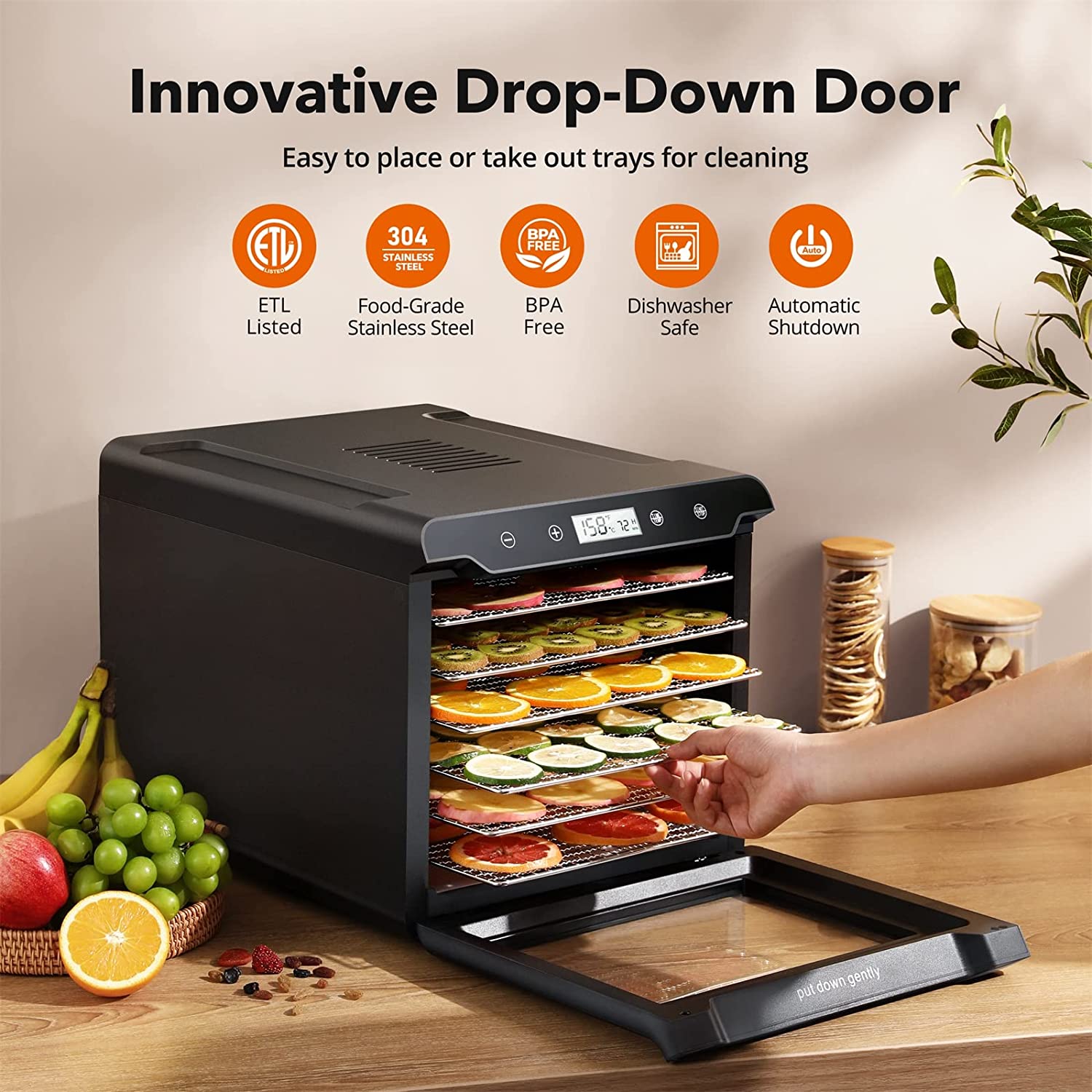 PARIS Food Dehydrator: Dry with and Convenience.